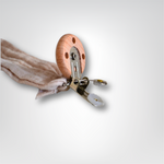 Attache tétine bébé personnalisable : Sacha - Mon Dressing de Bébé